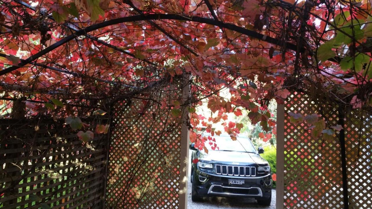Auburn エイミーズ ハウス Bed & Breakfast エクステリア 写真